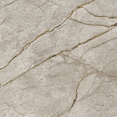 Silver Root Polished 60x60